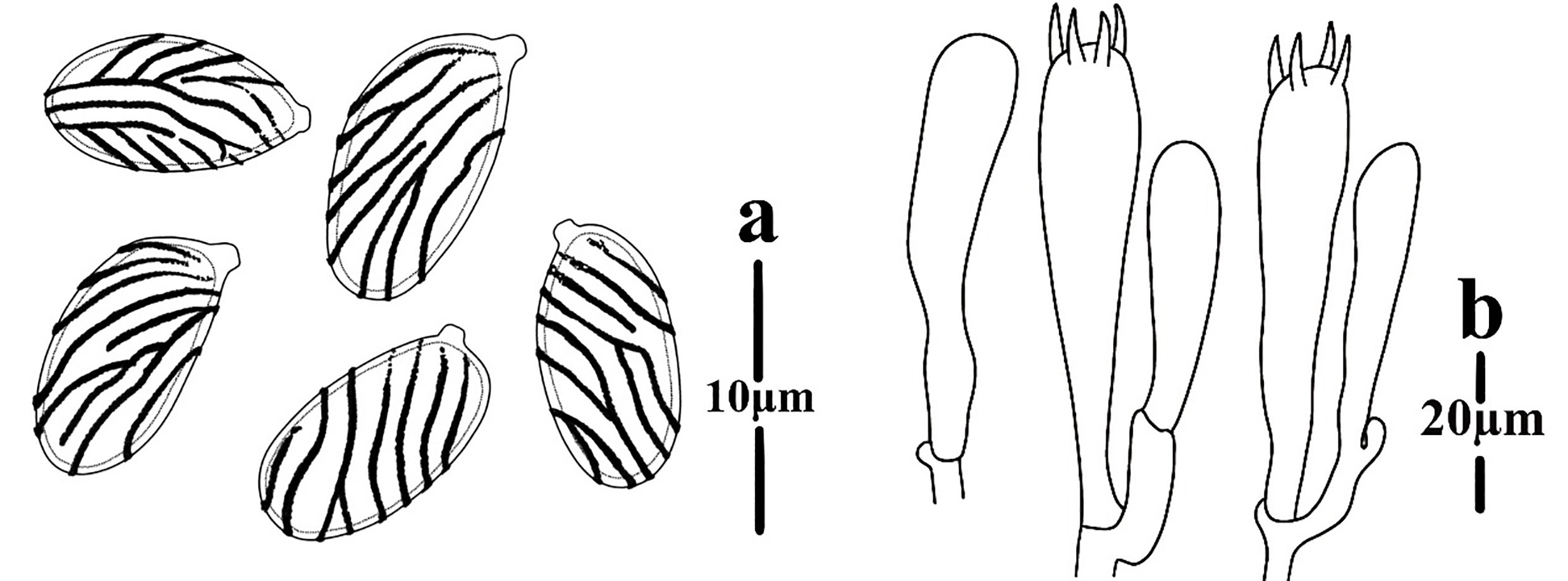Figure 43